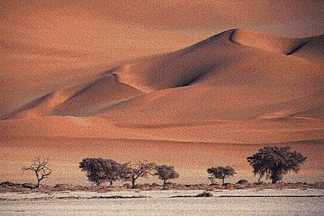 Where Deserts Form