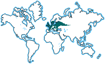 European Decidous Forest