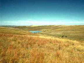grasslands_lrg.jpg