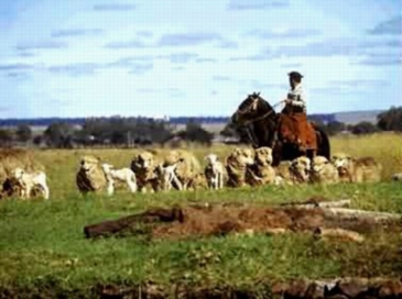 Argentine Pampas Map