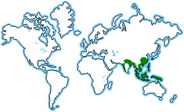 Asian Rainforest Map 66