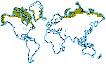 tundra biome location