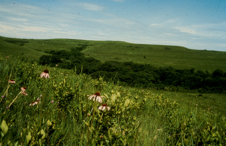 Blue Planet Biomes Prairie Photo Gallery